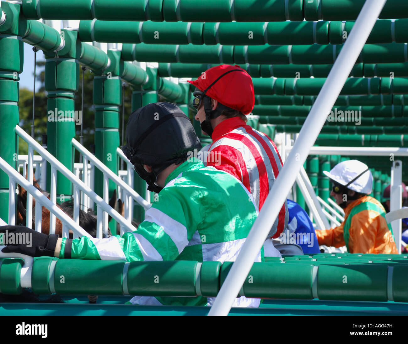 Jockeys in starting gate Stock Photo Alamy