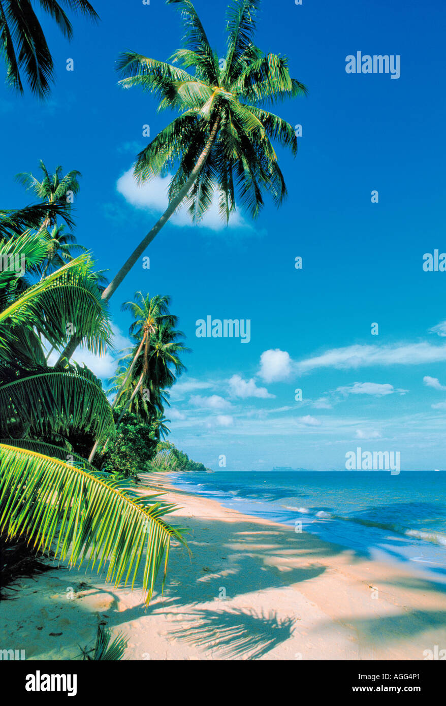 Thailand paradise hi-res stock photography and images - Alamy