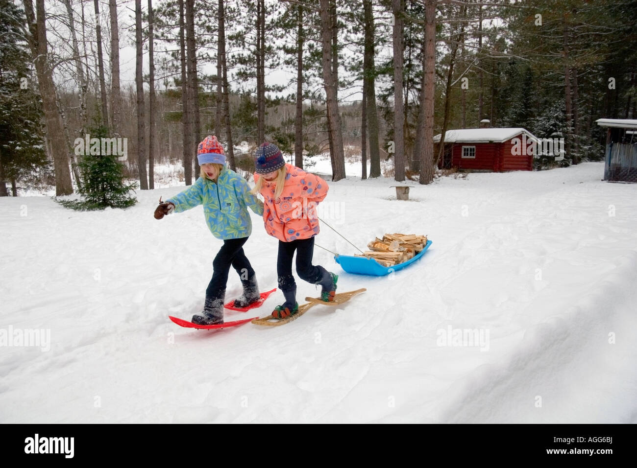 Two young girls on snowshoes pull a sled stacked with firewood Ely Minnesota winter Stock Photo