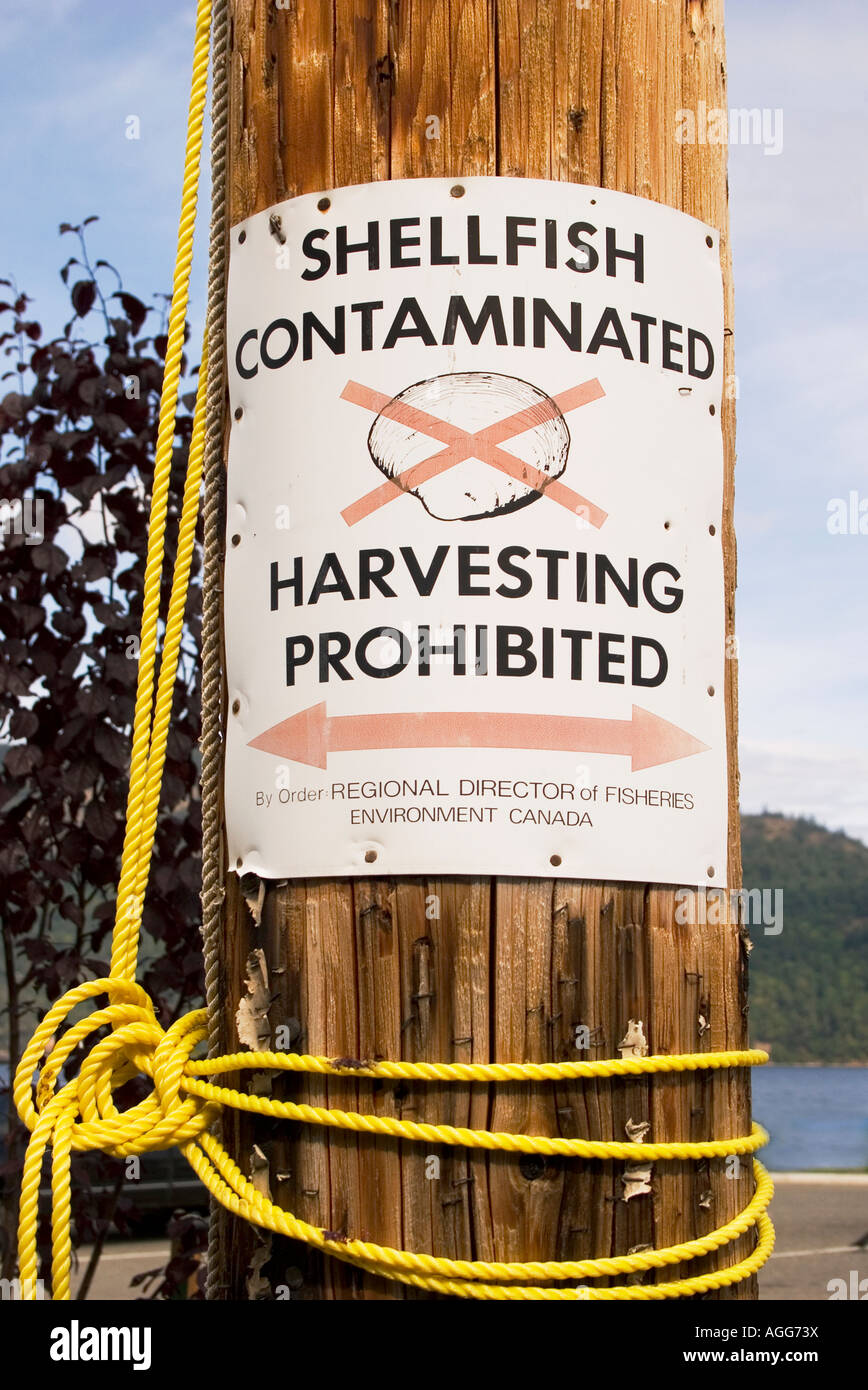 Contaminated shellfish sign Cowichan Bay, Vancouver Island ,British Columbia. Stock Photo