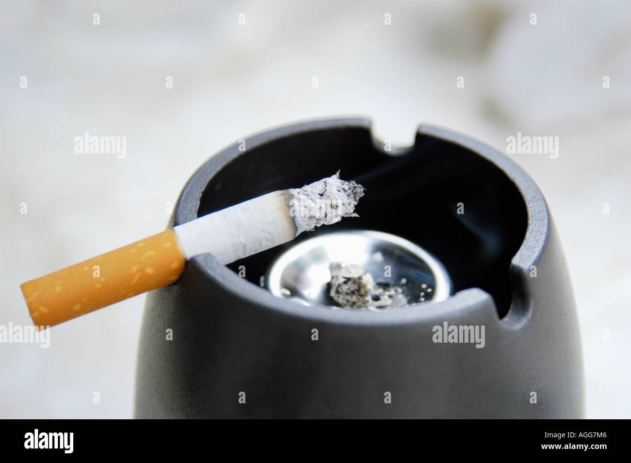 can smoking cigarettes while pregnant cause down syndrome Frontiers Publishing Partnerships