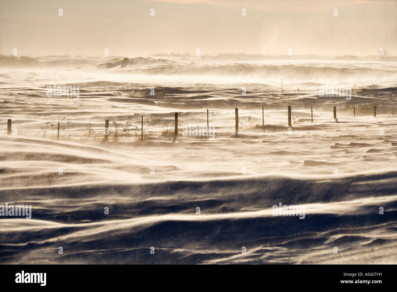Snowy landscape with fence Stock Photo - Alamy