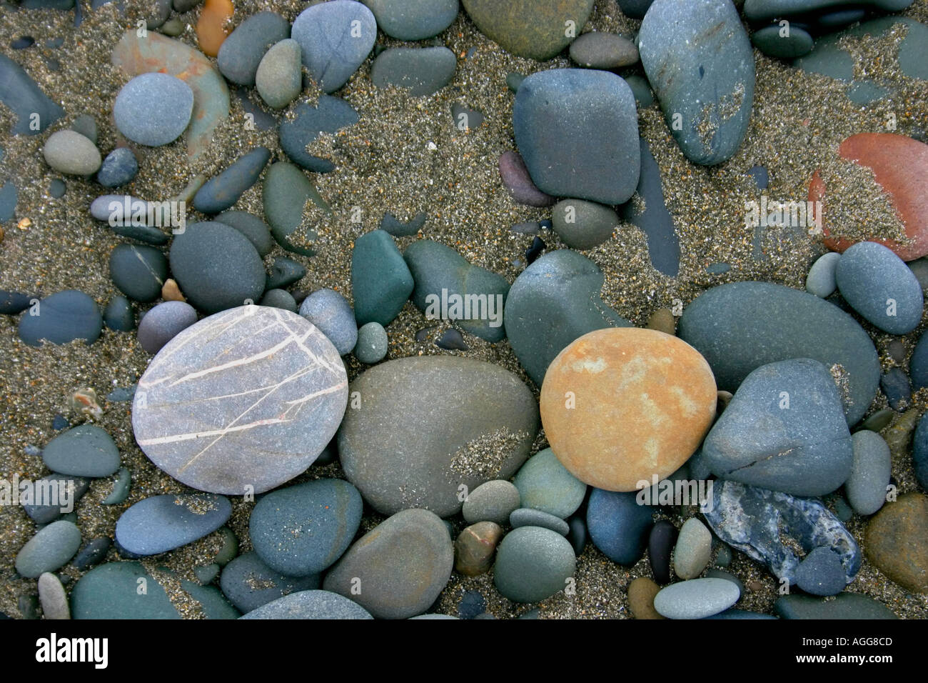 Stones on beach Stock Photo