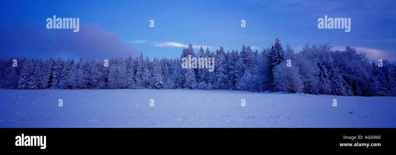 Bavarian forest winter Bavaria Germany. Photo by Willy Matheisl Stock Photo