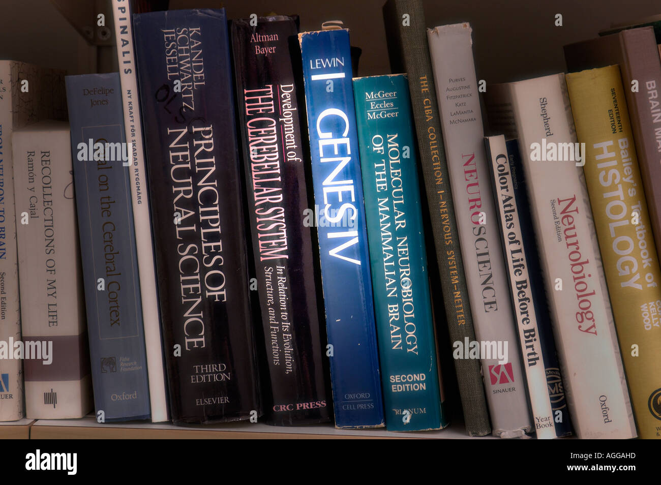 scientific literature/dictionaries in a bookshelf Stock Photo Alamy