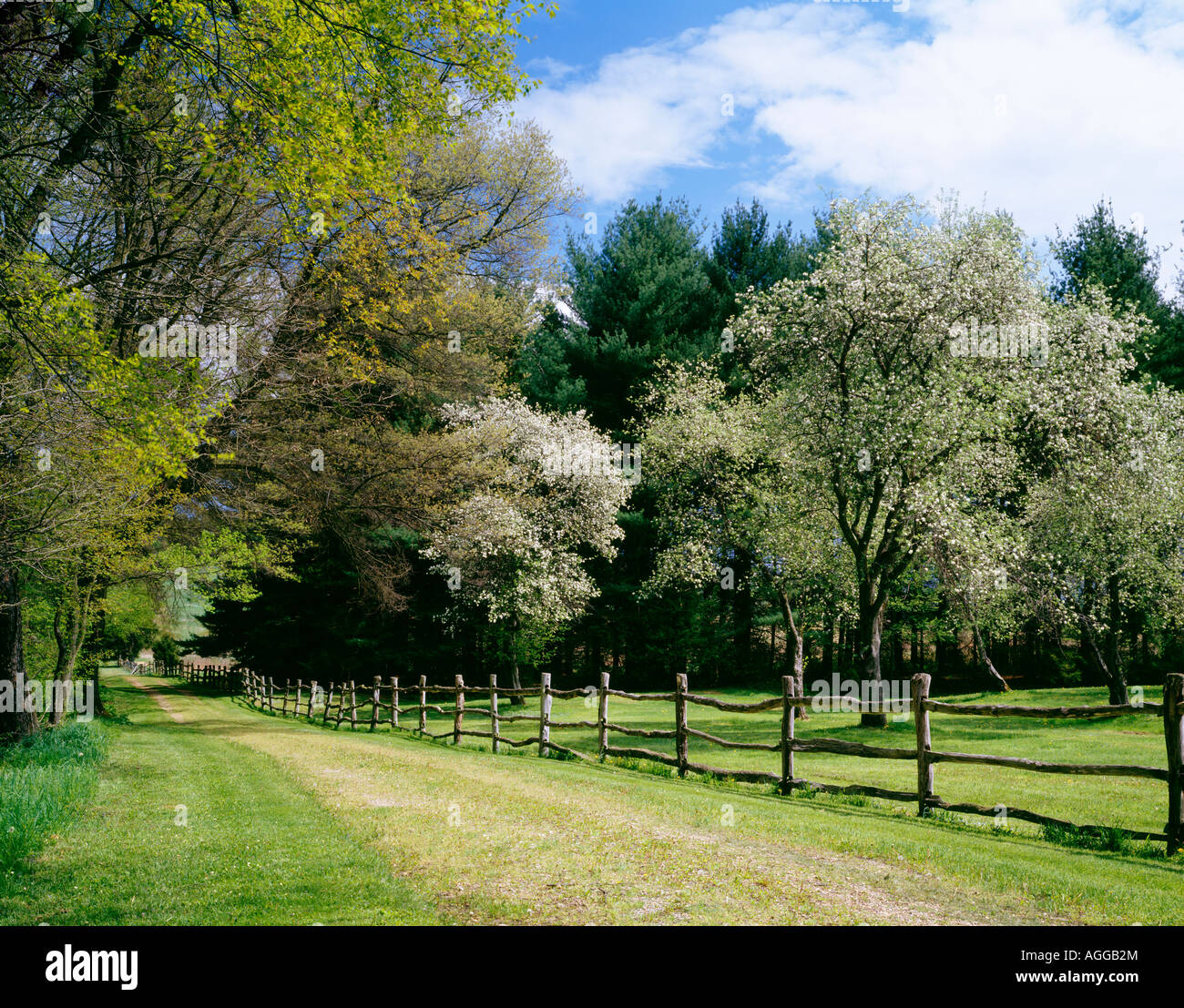 ROLLING ROCK GAME PRESERVE; OWNED BY MELLON FAMILY OF PITTSBURGH