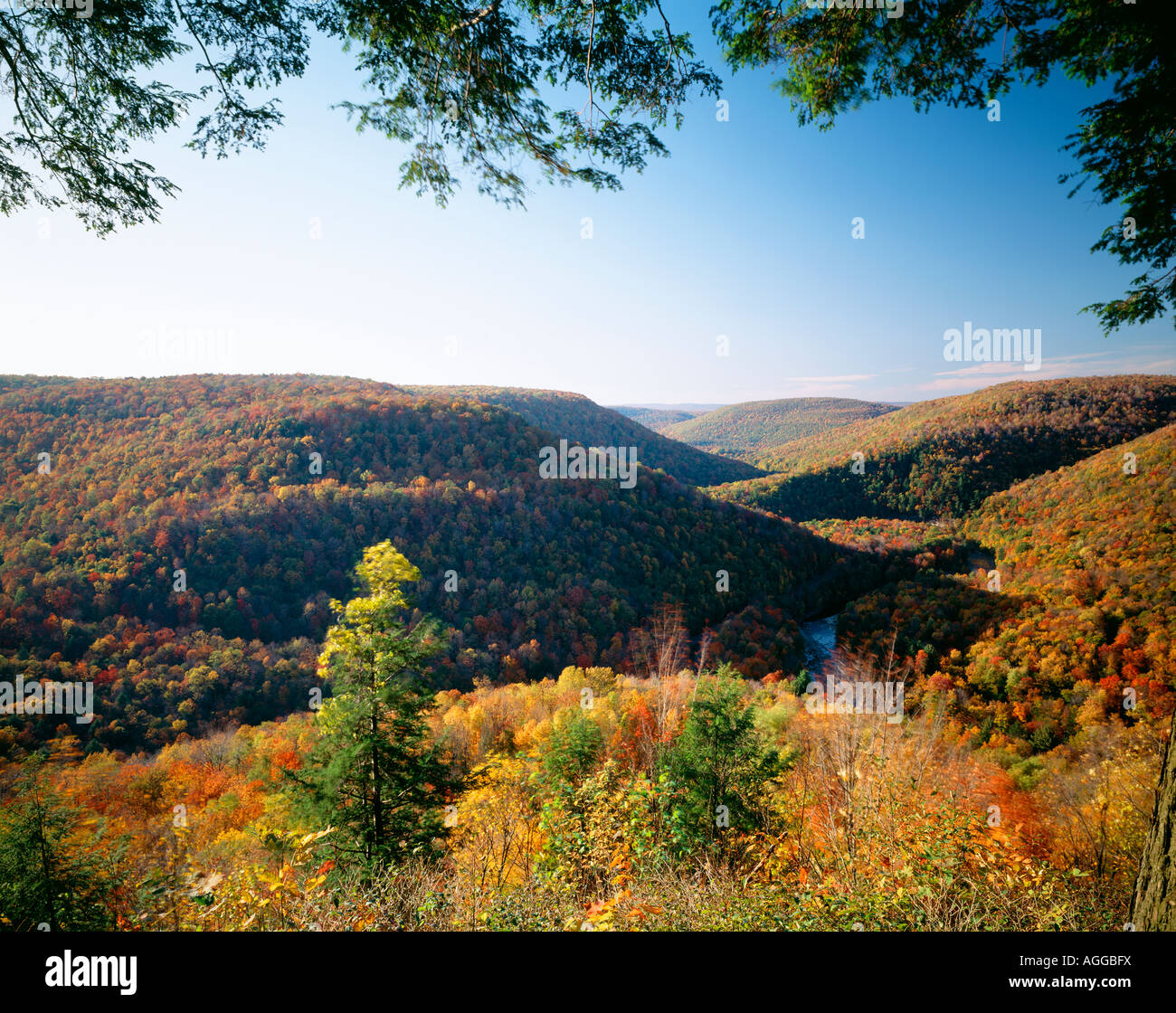 View Of Loyalsock Creek From Canyon Vista Overlook Worlds End State Park Sullivan County Pennsylvania Usa Stock Photo Alamy