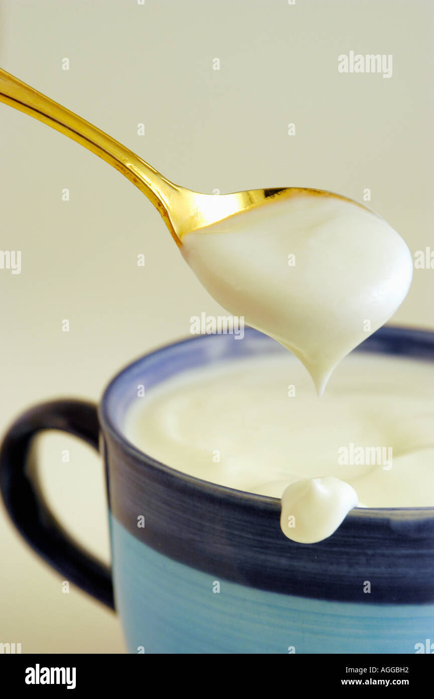 healthy yoghurt containing genemodified bacterial culture Stock Photo