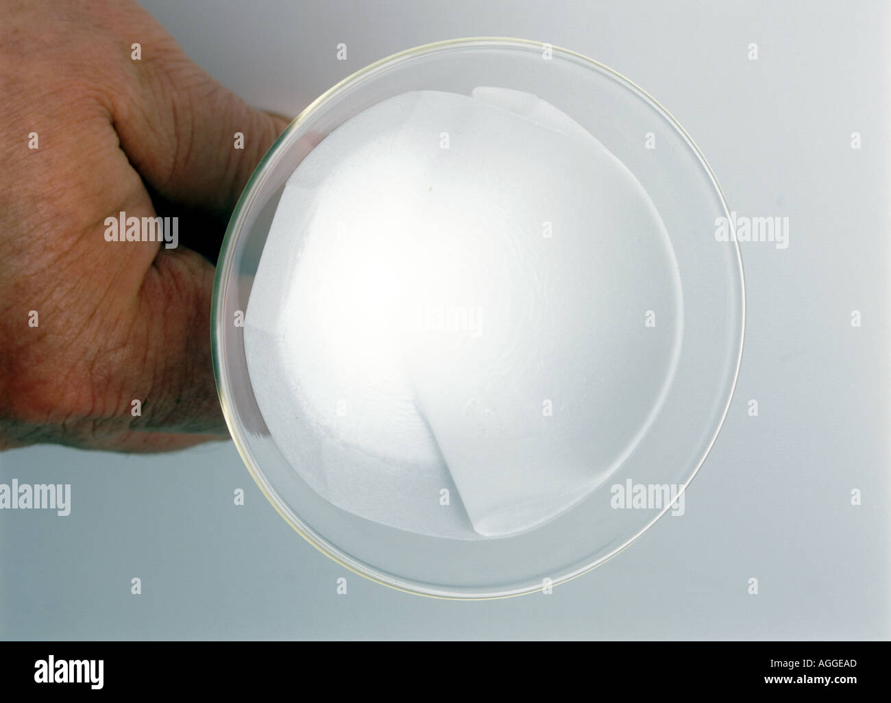 white filtrate on a filter paper Stock Photo Alamy