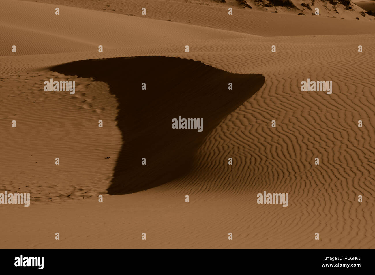 Oceano Sand Dunes Stock Photo Alamy