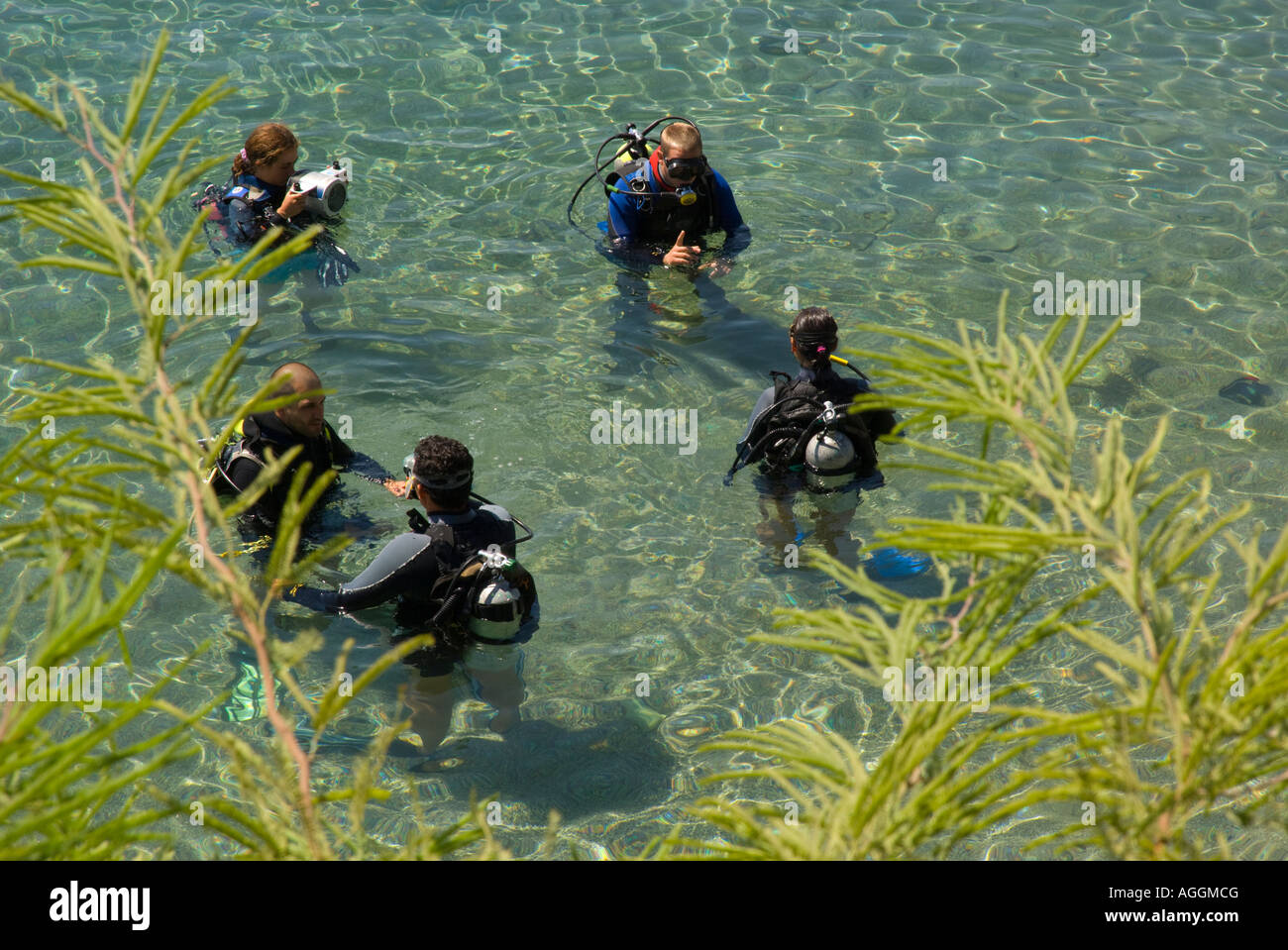 Israel Red Sea Eilat Dolphin Reef elevated view of divers in full gear standing in shallow clear water with treeleaves in frg Stock Photo