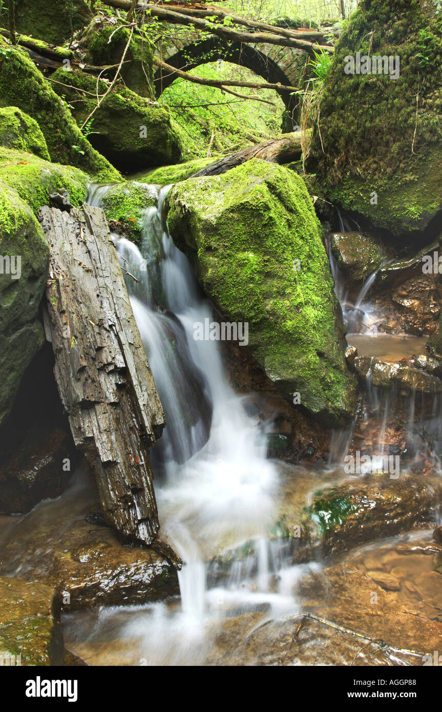 Brook little hi res stock photography and images Alamy