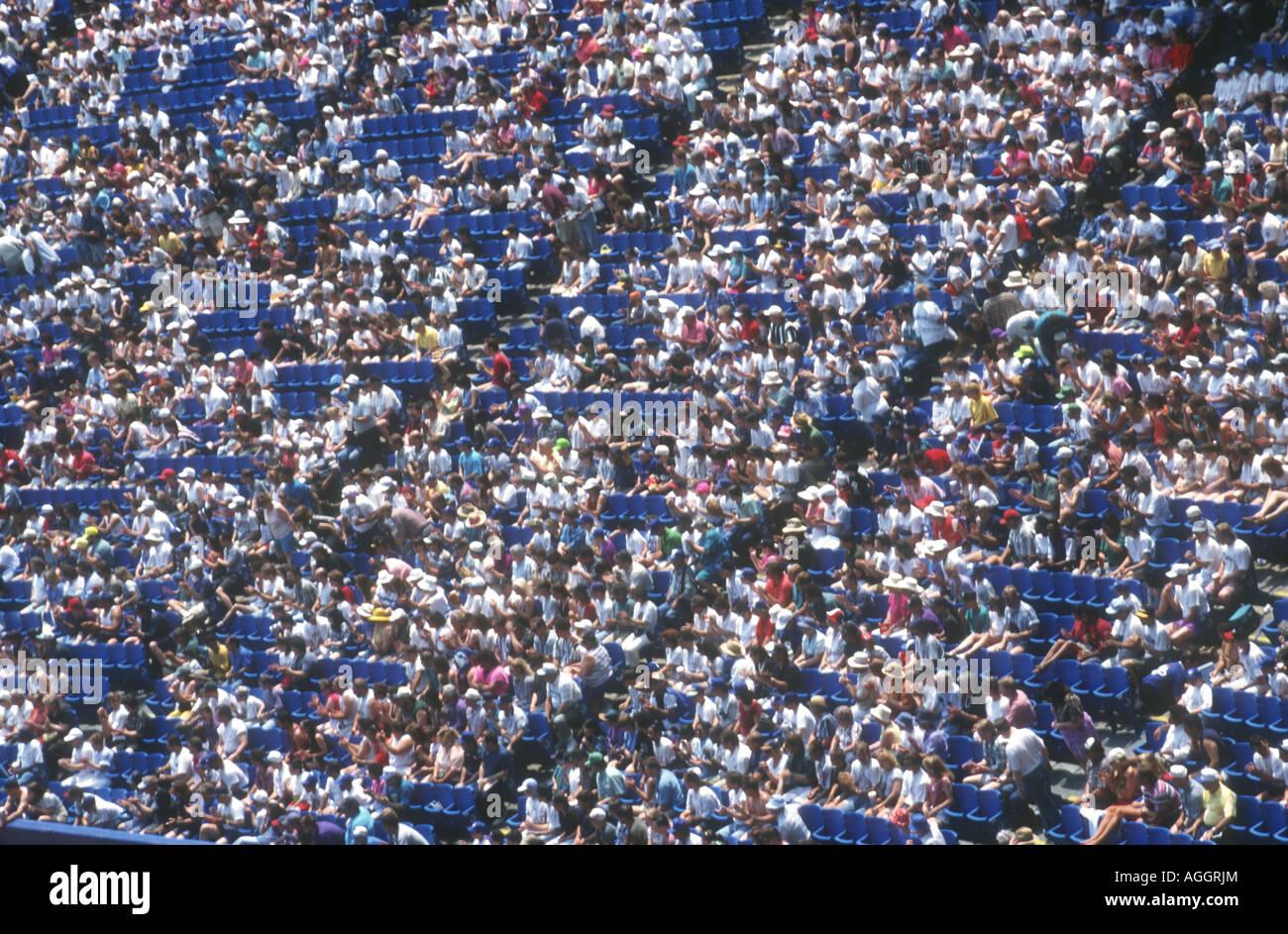 Baseball Stadium Fans