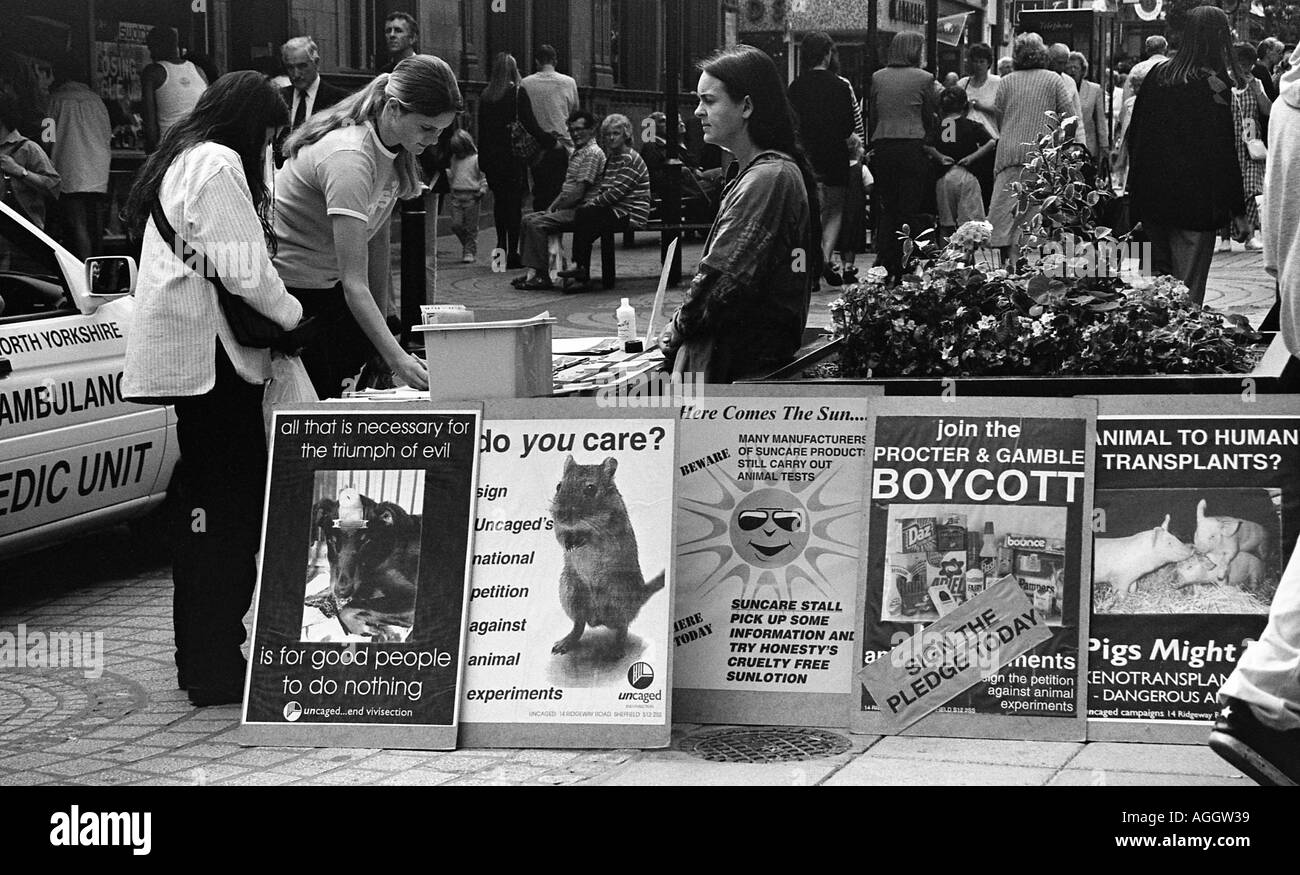Animal rights people with stand asking for signatures to a petition in the  street at Scarborough North Yorkshire Stock Photo - Alamy