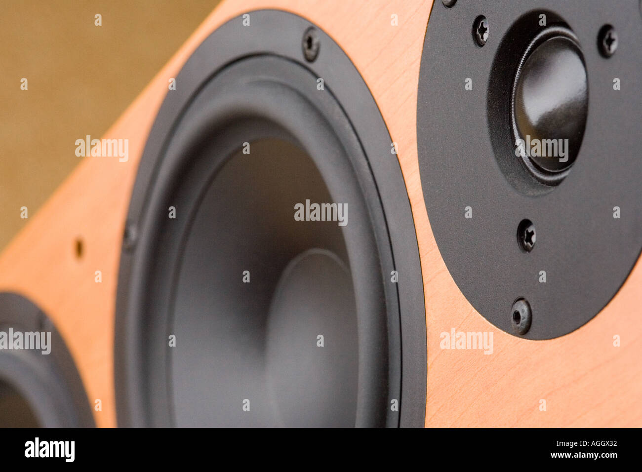 hi fi speaker with front grill removed showing the separate drive units