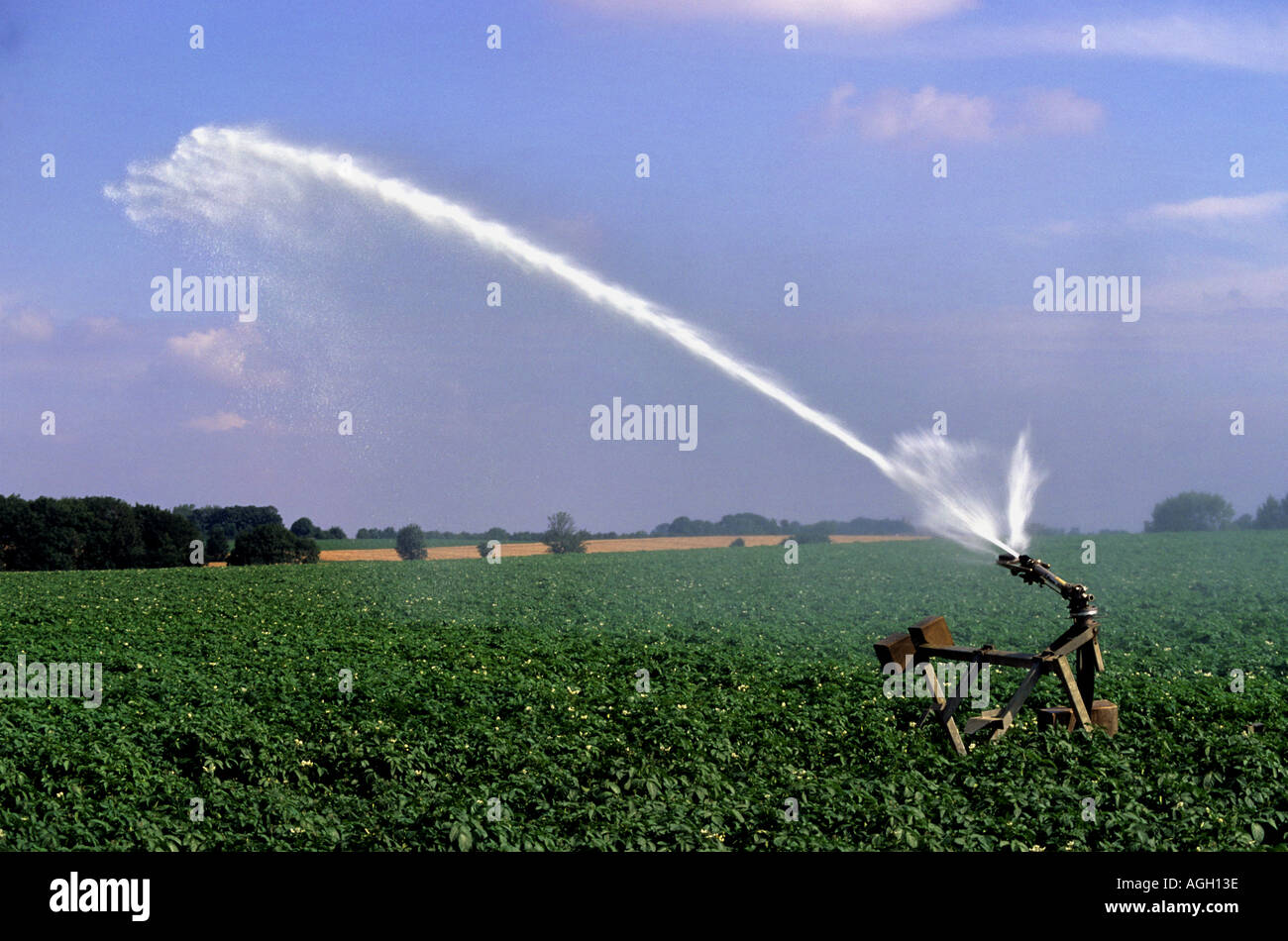 water cannon irrigating potato crops in farmers field during drought spell in hot summer south milford yorkshire uk Stock Photo