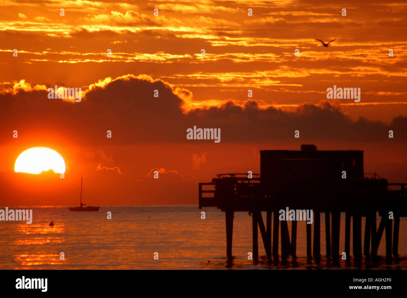 Stearns wharf at sunrise hi-res stock photography and images - Alamy