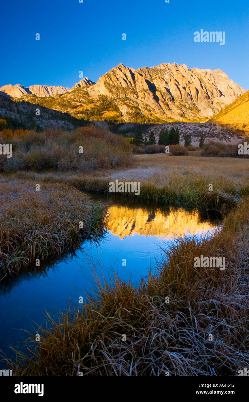 Sunrise in an alpine meadow Sierra Nevadas California Stock Photo - Alamy