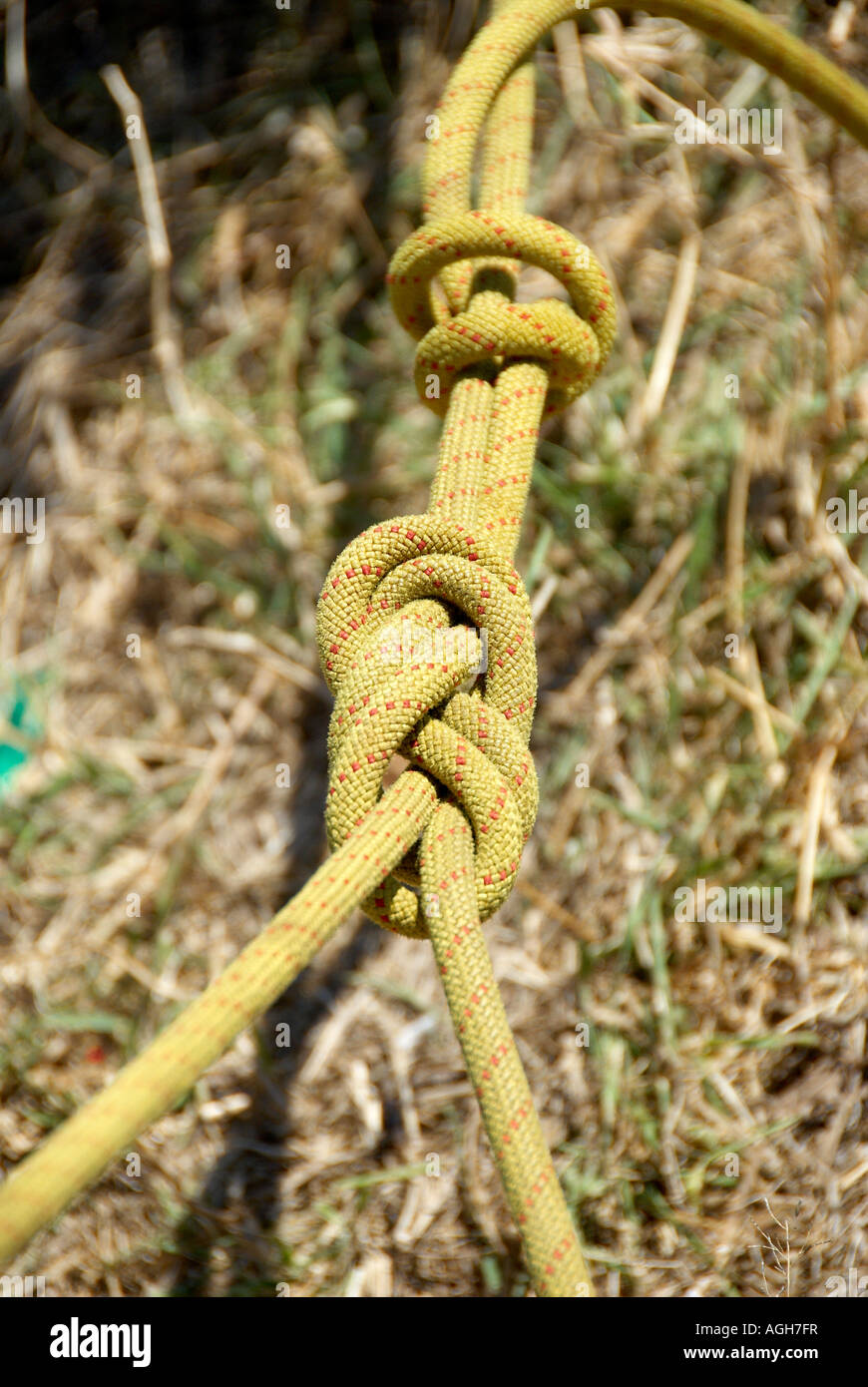 Climbing top rope setup showing figure of eight knot Stock Photo Alamy