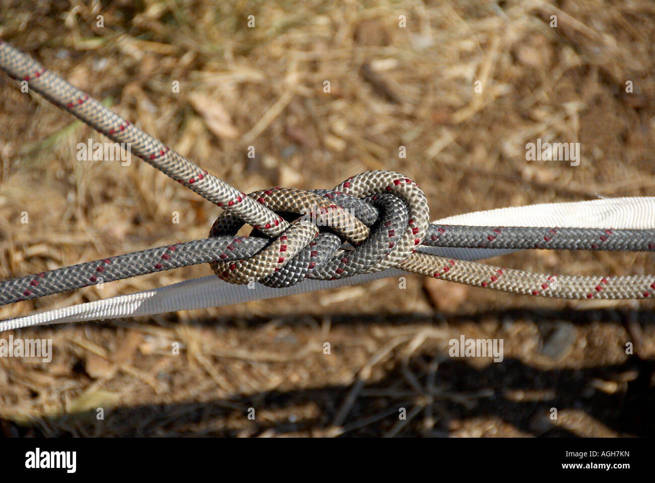 Climbing top rope setup showing figure of eight knot Stock Photo Alamy