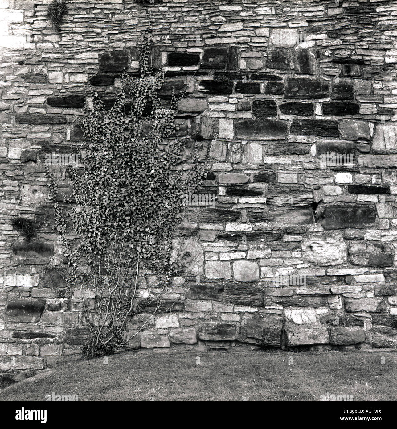 Old stone and brick wall Stock Photo