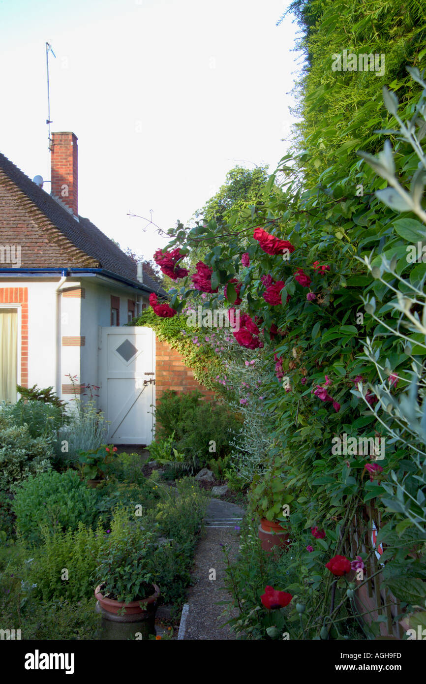 46 Roslyn Rd Bournemouth UK Penny Slade Garden in summer path along side of the house and garden Stock Photo