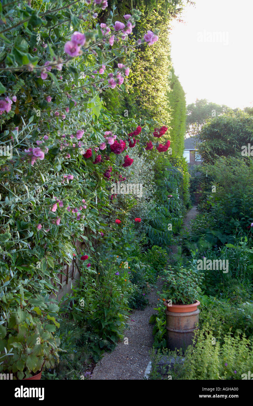 46 Roslyn Rd Bournemouth UK Penny Slade Garden in summer path along side of the house and garden Stock Photo