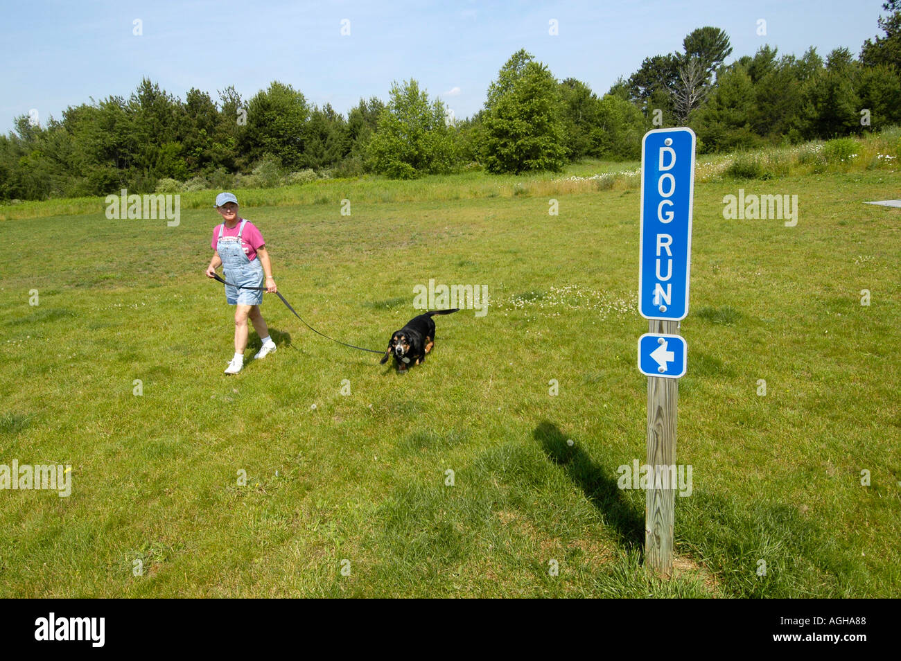 Dog Run Pet area with sign Stock Photo