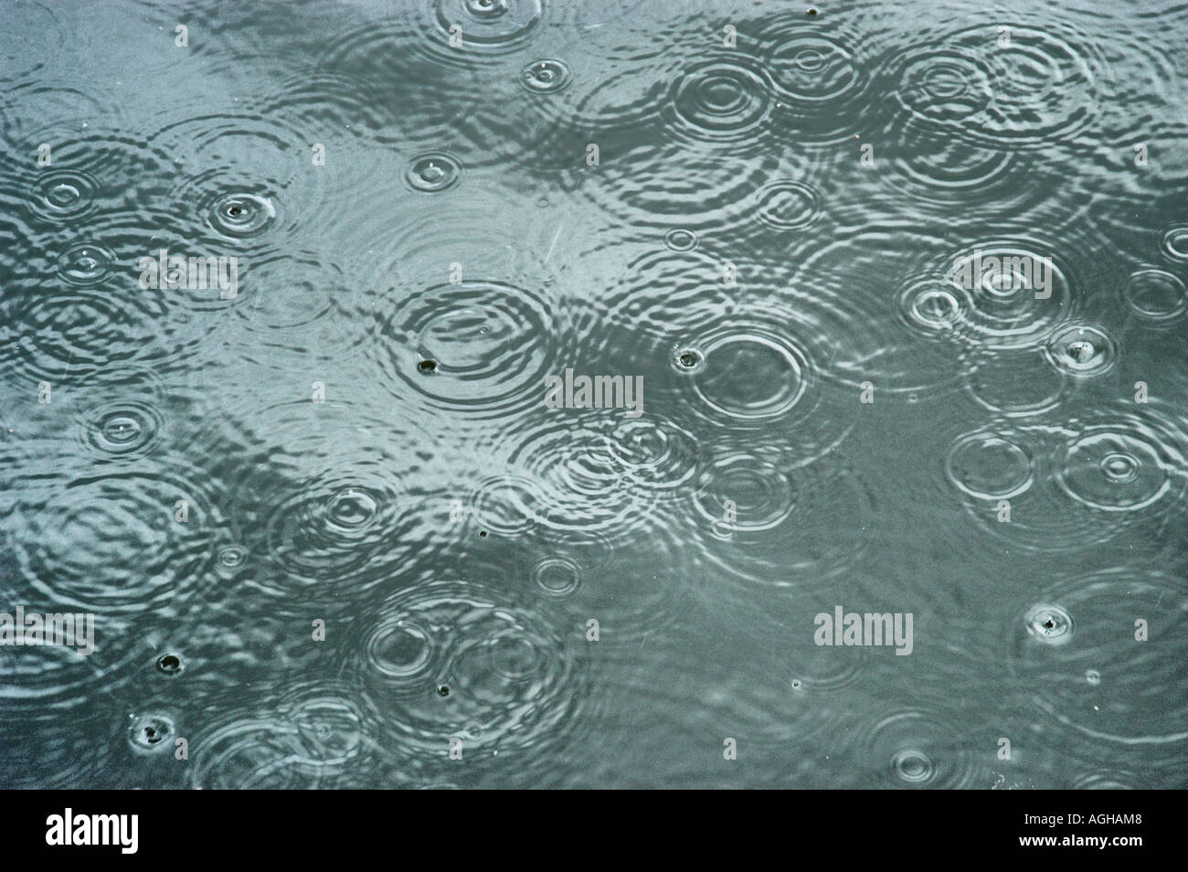 raindrops hitting water surface and creating ripples Stock Photo