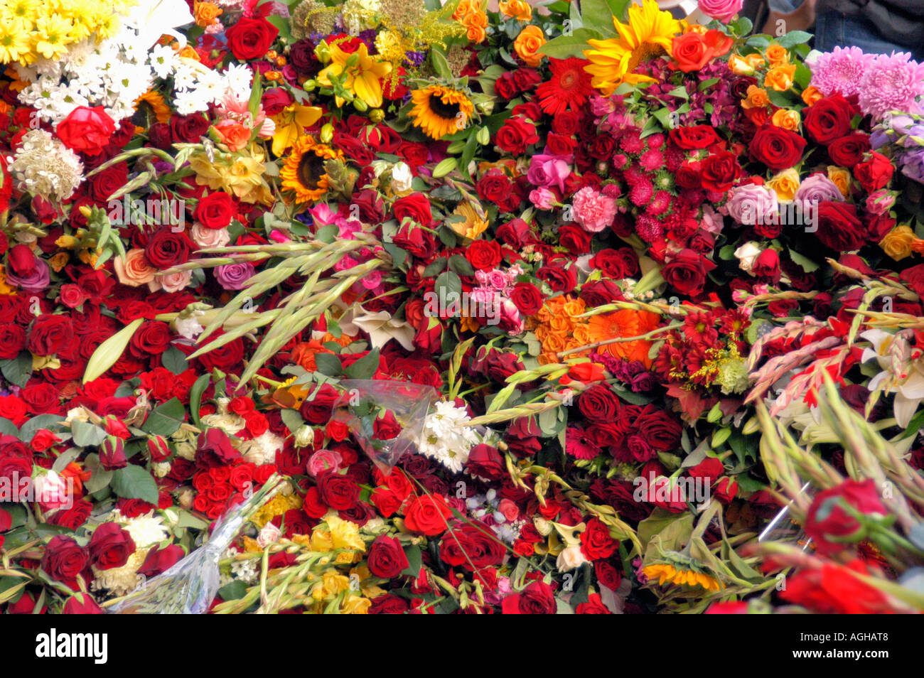 remembrance of Anna Lindh, Swedish Minister of Foreign Affairs, who was murdered in a shopping mall, Stockholm, Sweden Stock Photo