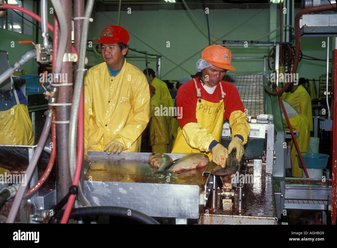 USA Alaska Anchorage salmon processing plant Stock Photo Alamy
