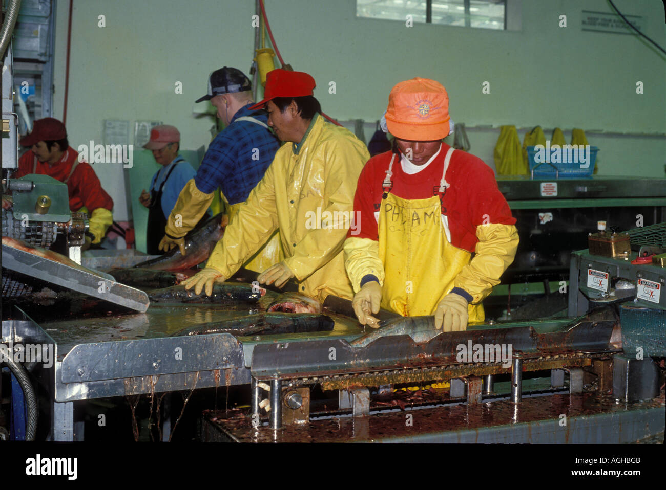 USA Alaska Anchorage salmon processing plant Stock Photo Alamy
