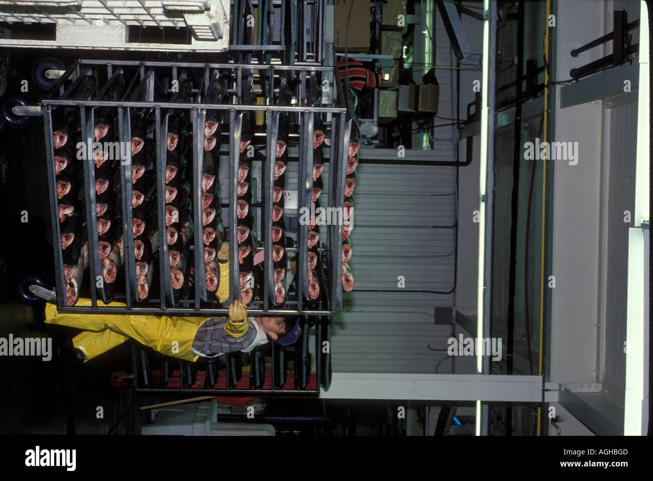 USA Alaska Anchorage salmon processing plant Stock Photo Alamy