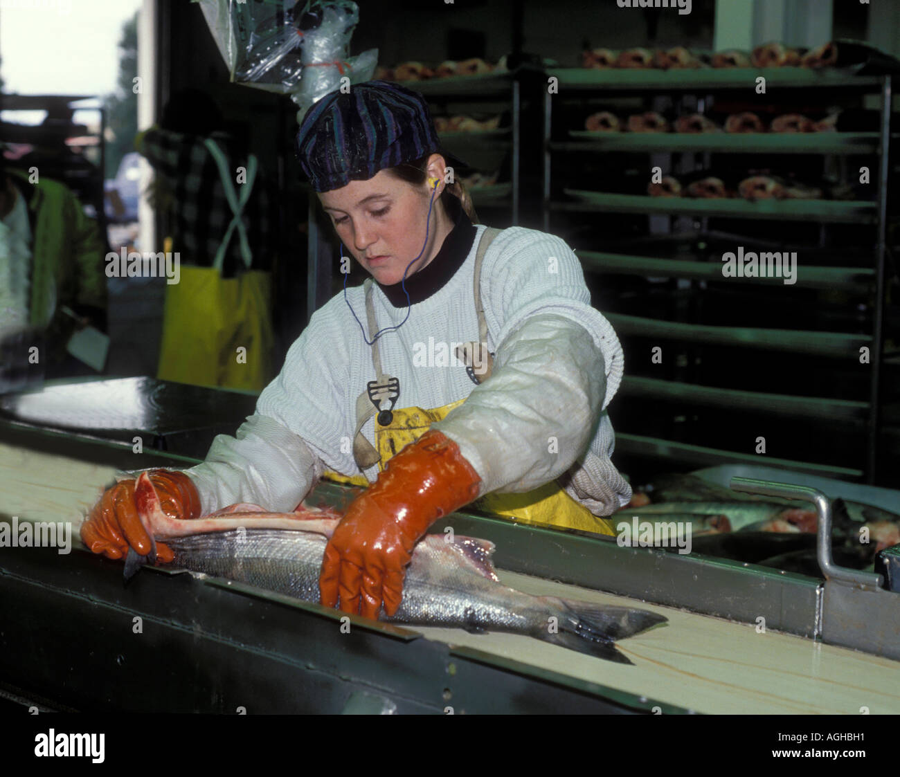 USA Alaska Anchorage salmon processing plant Stock Photo Alamy