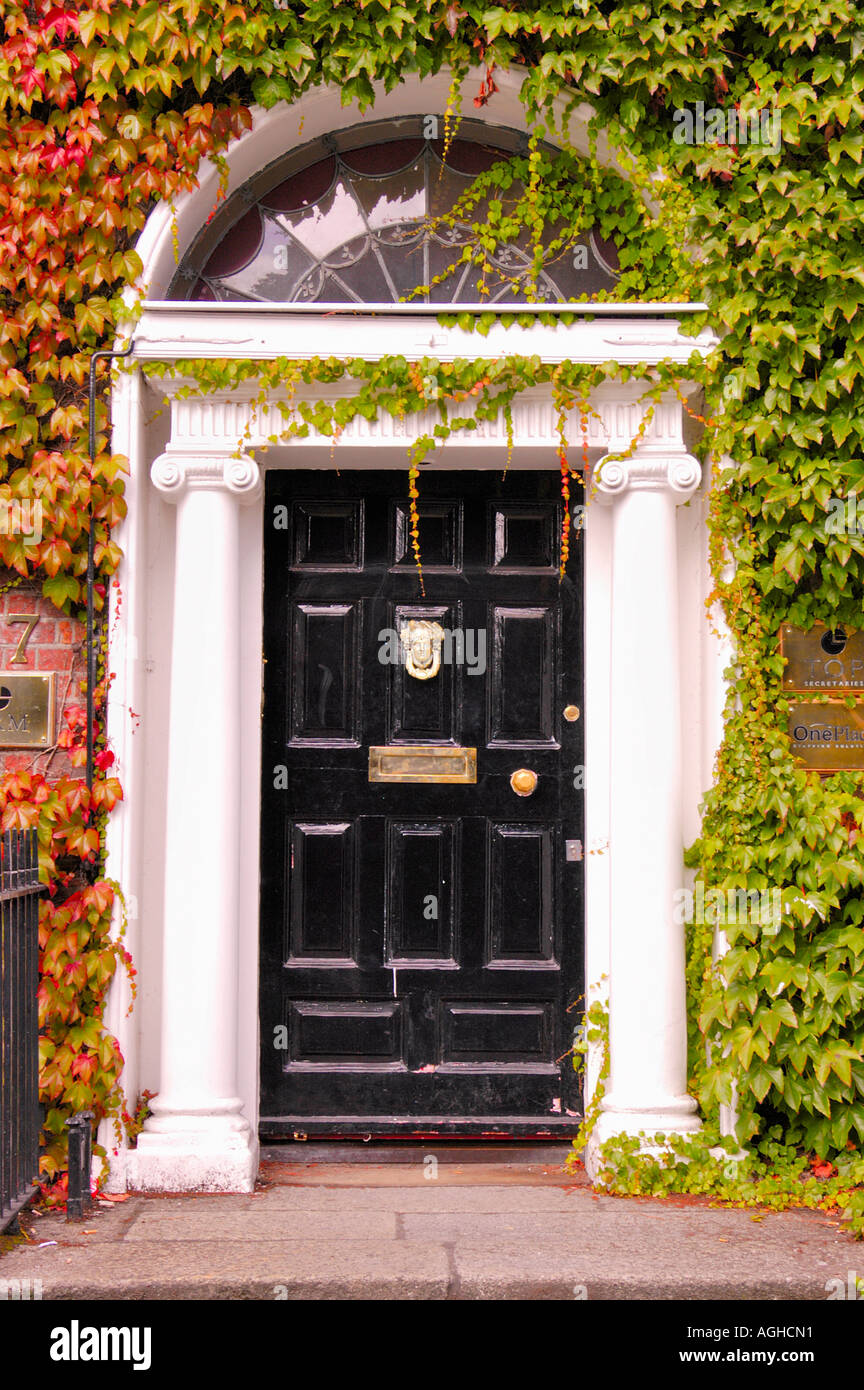 decorative street door/gateway to premises/real estate, Dublin, Ireland