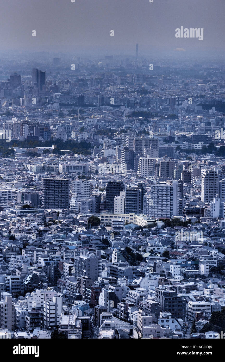 view over Tokyo, Tokyo, Japan Stock Photo