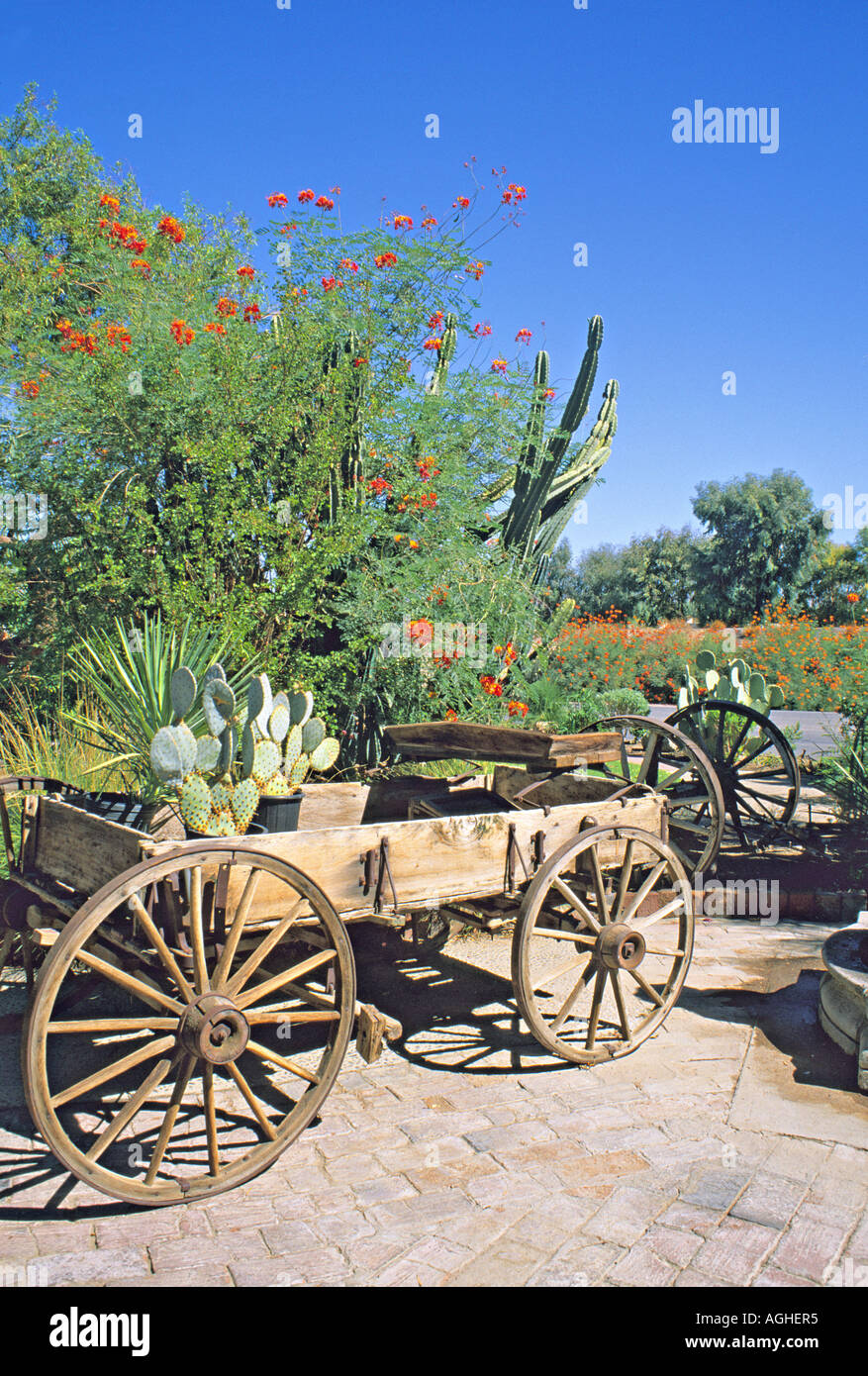 Old wagon with plants Palm Springs California Stock Photo Alamy