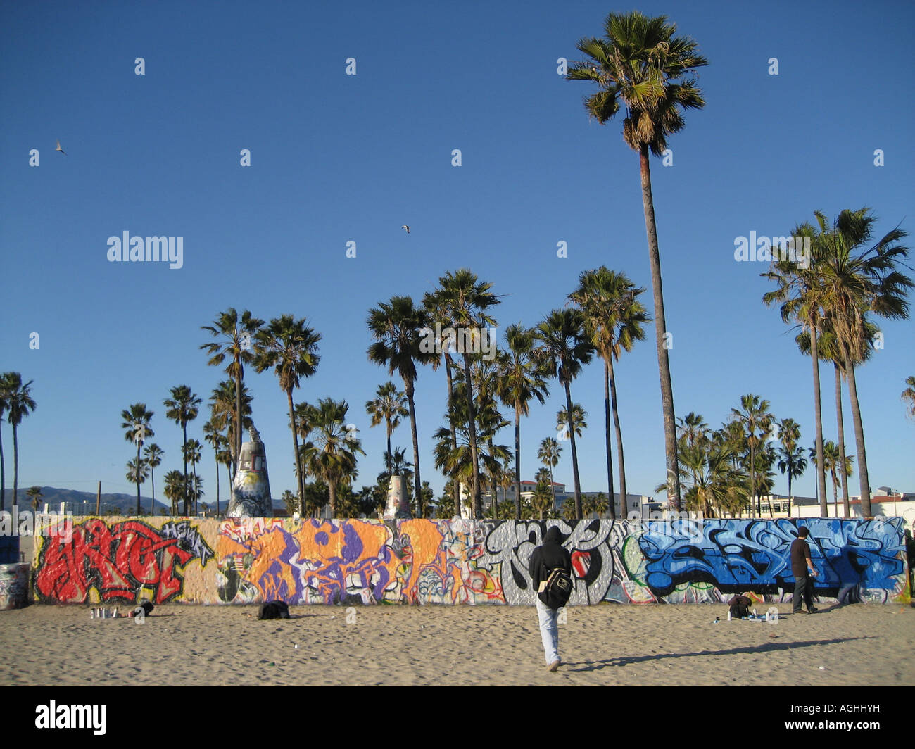 Graffiti wall full view with graffiti artists palm trees and sand