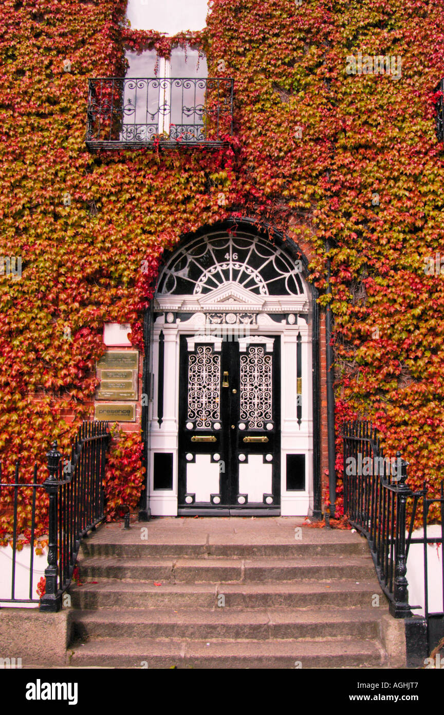 decorative street door/gateway to premises/real estate, Dublin, Ireland