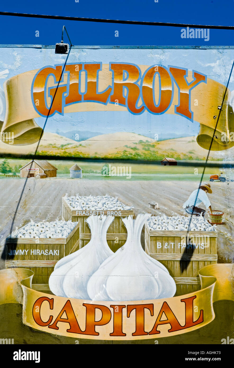 Garlic festival hires stock photography and images Alamy