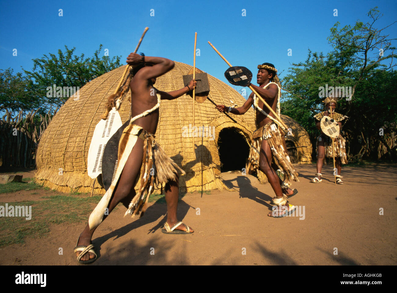 South Africa Simunye Zulu Warriors Fighting Stock Photo