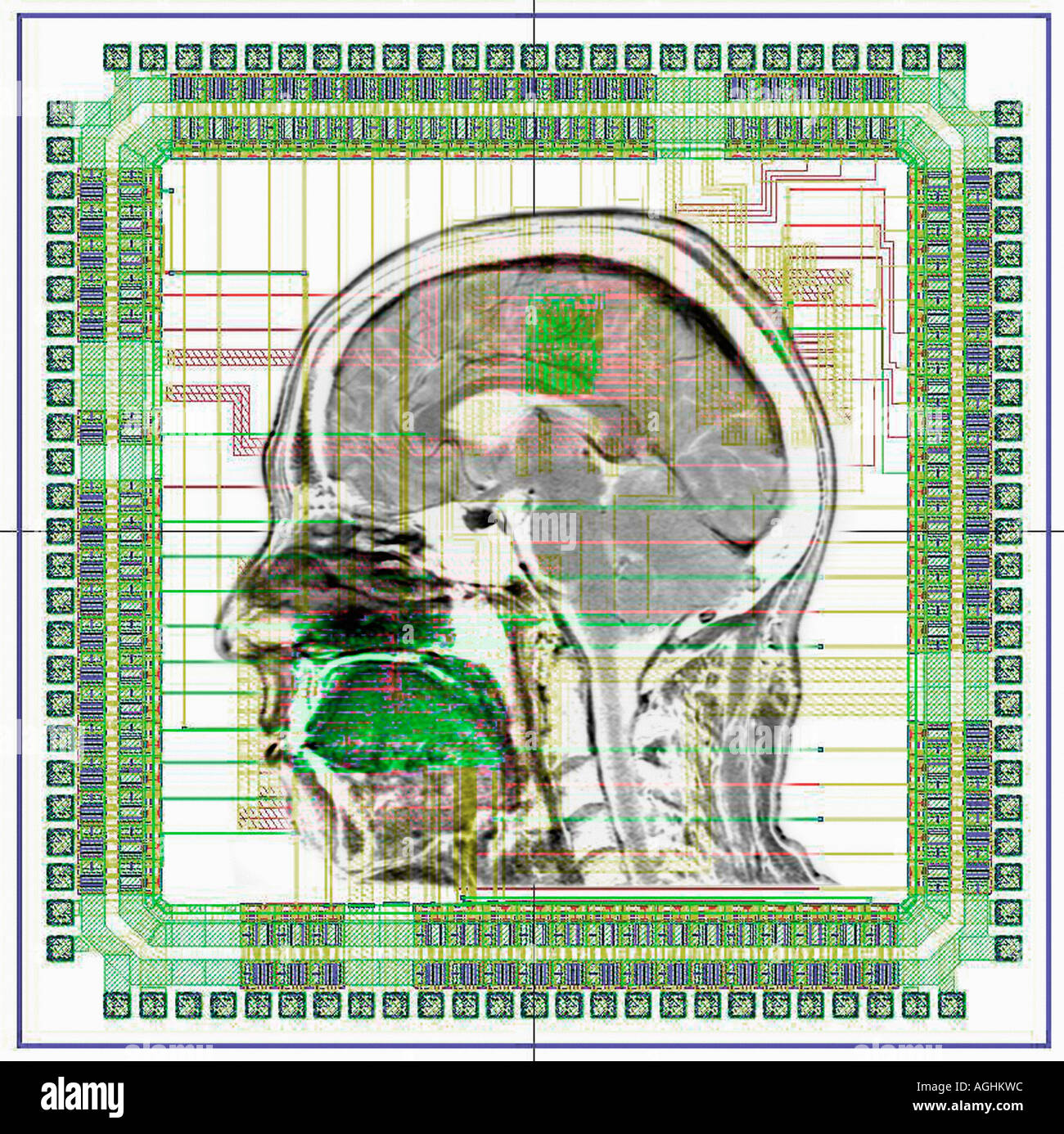 image of the connection between a microprocessor and a human brain symbolizing artificial intelligence Stock Photo