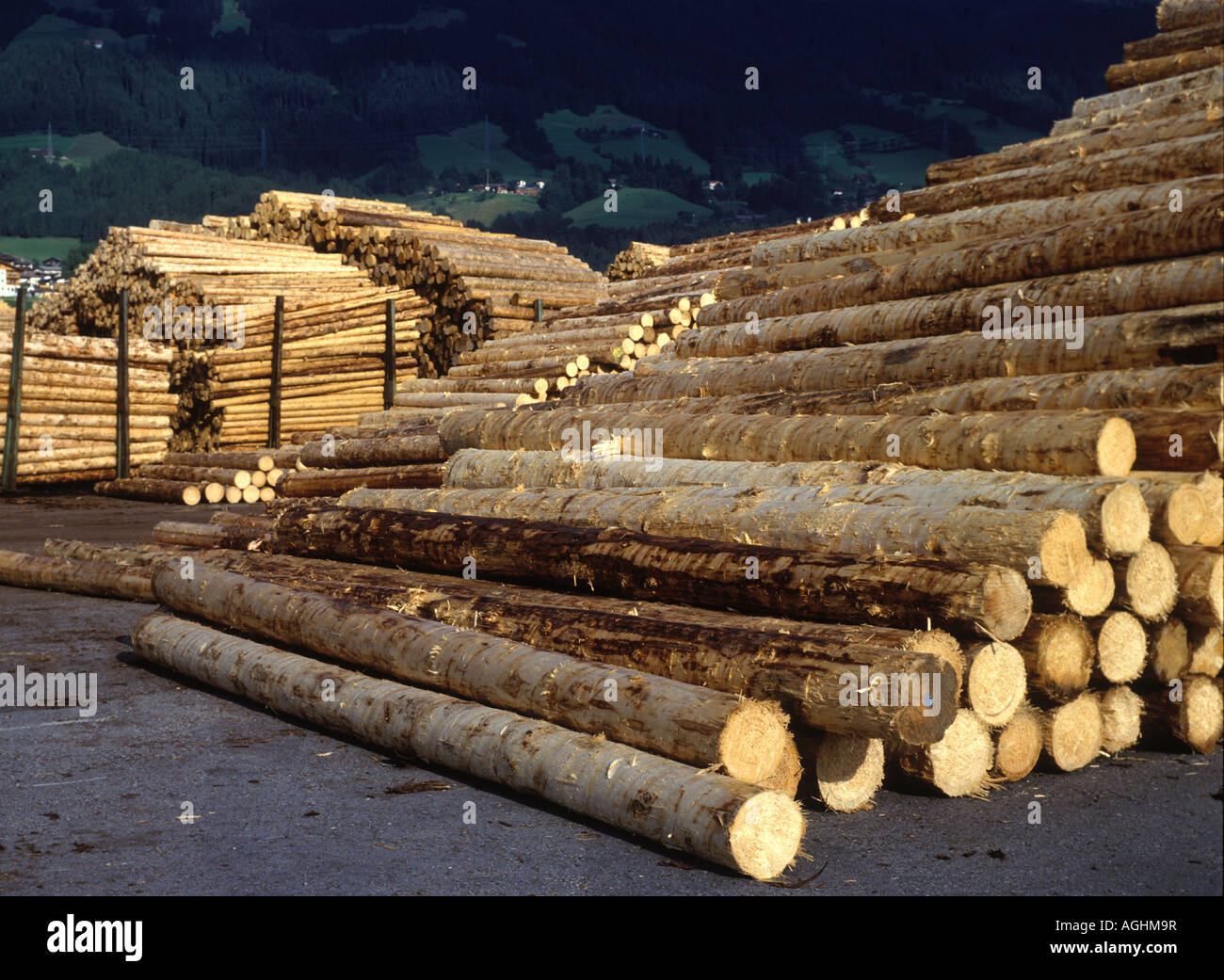 Baumstaemme liegen am Holzlagerplatz eines Saegewerks stack of wood at a saw mill in Austria Stock Photo