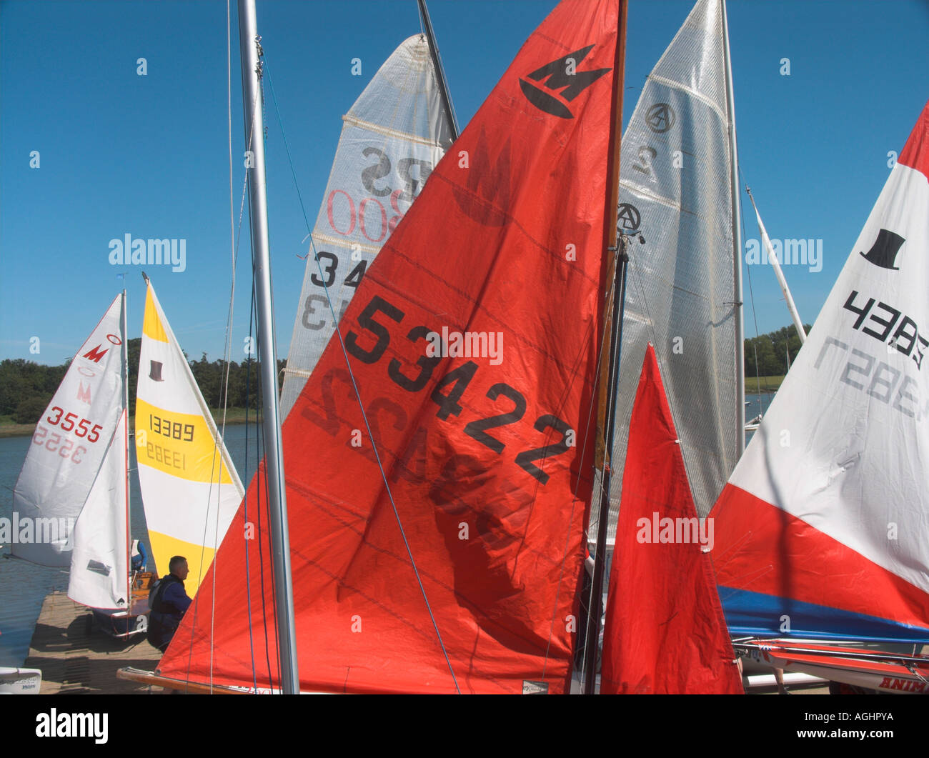 Sails of Topper and Mirror class sailing dinghies at launch River Deben