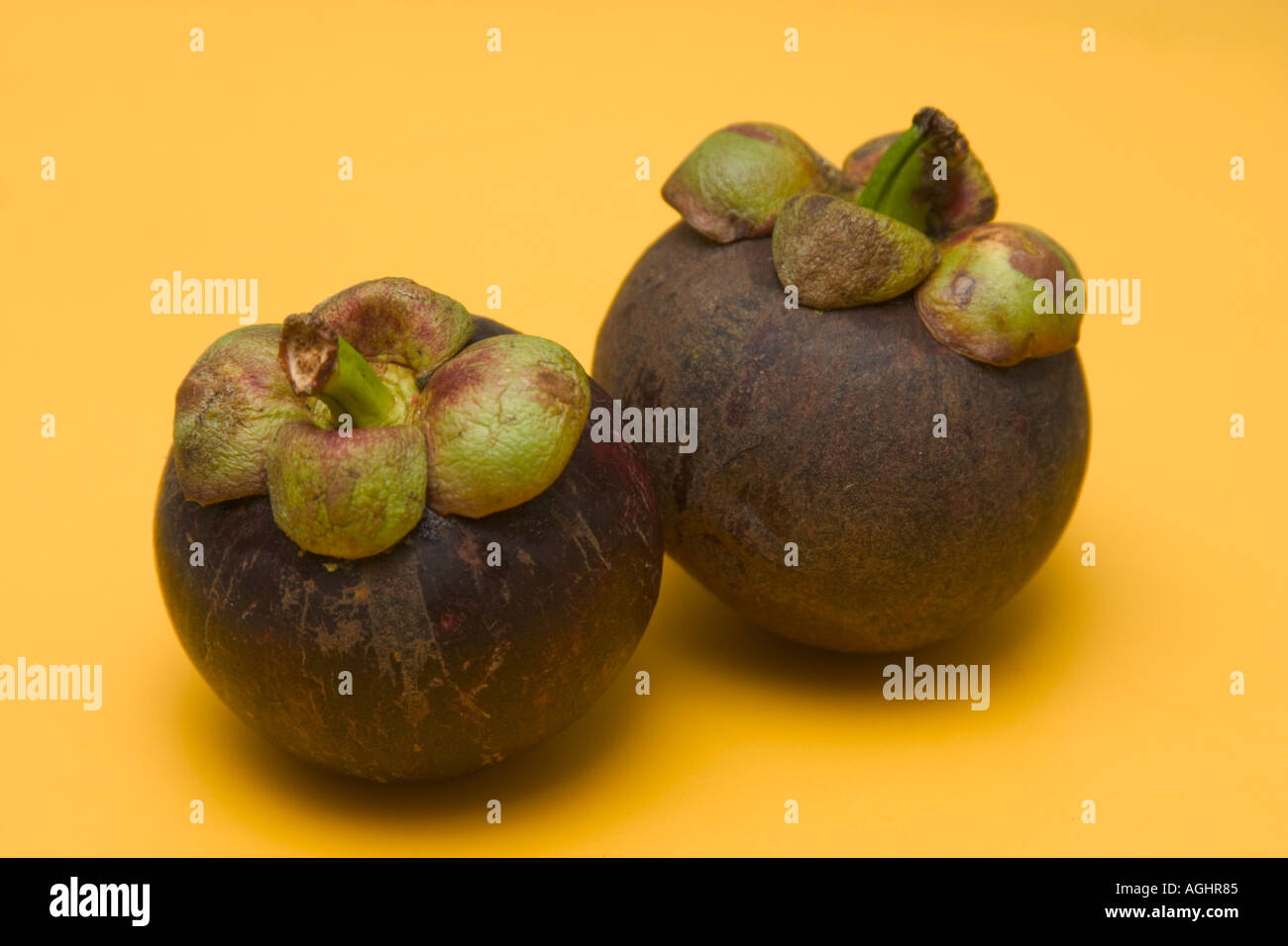 mangosteen exotic tropical fruit from malaysia Stock Photo Alamy