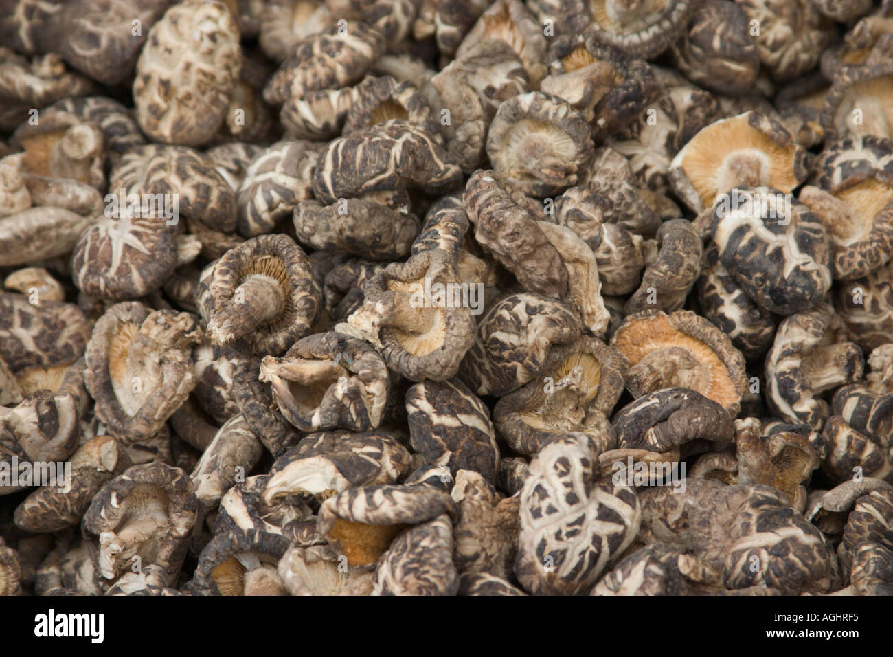 dried black mushrooms used in chinese cooking Stock Photo Alamy