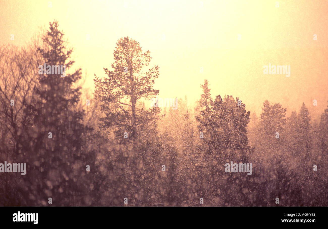 Snowfall hi-res stock photography and images - Alamy