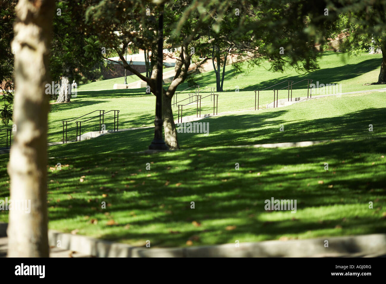 Park Area UCLA Campus, West Los Angeles, California, USA Stock Photo