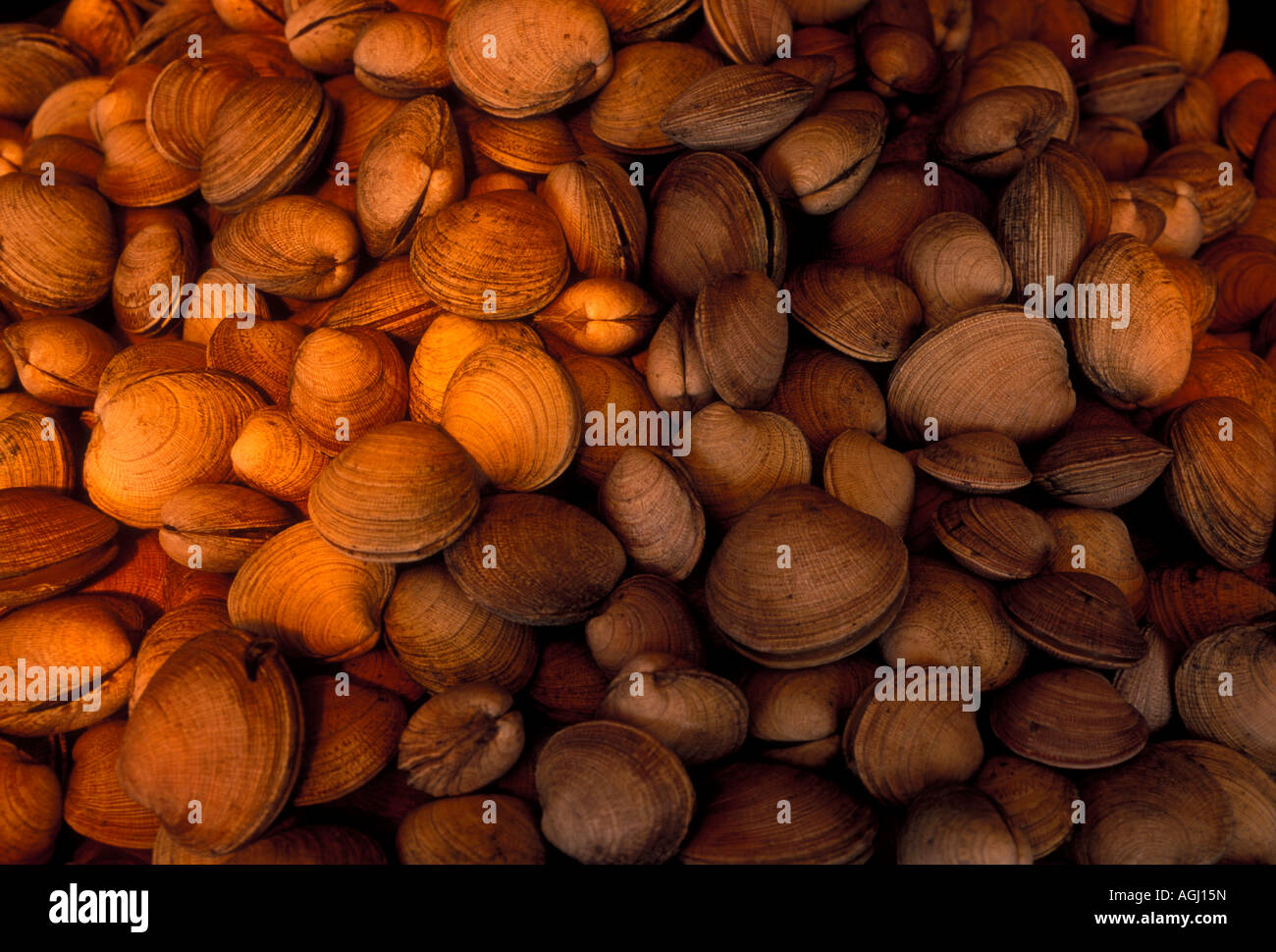 fish vendor, selling fresh clams, fish market, seafood market, Puerto