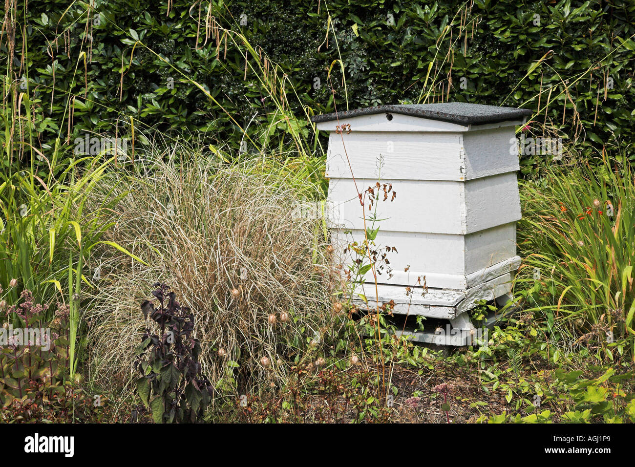 Beehive in a country garden Stock Photo